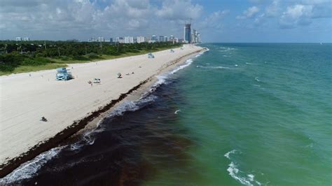 129 Last week, 11 Southwest Florida beaches got poor marks after tests showed high fecal bacteria counts. . Miami beach bacteria 2022